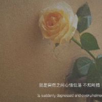 带有悲凉伤感诗意的网名 伤感又暗含深意的网名(精选38个)