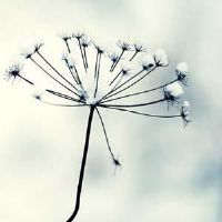 非主流杀马特网名繁体字 非主流繁体字网名(精选109个)