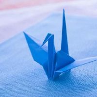 最新简单好听的4字网名推荐(精选109个)