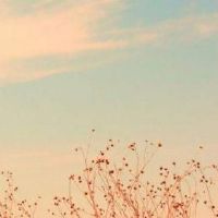 三个字的网名优雅好听(精选63个)