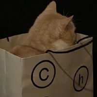 成熟稳重的30岁男生昵称 30岁男人成熟微信昵称大全