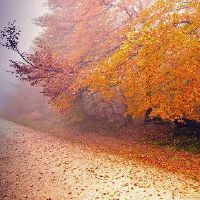 暖暖的秋天文案句子 秋天高级文案短句撩人