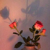 有格局饱含道理的文案句子(精选34句)