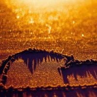 触动人心的网易云热评文案(精选99句)