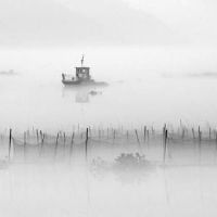 好听简单三个字古风网名(精选67个)