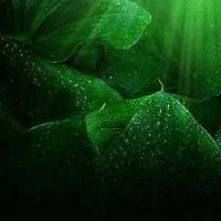 好听带凉字的网名大全(精选52个)