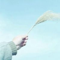 好听又难忘的四个字昵称推荐(精选109个)