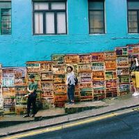 超好听文艺范小众的网名(精选86个)