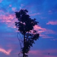 想离开了好累个性网名 表示离开的网名(精选89个)