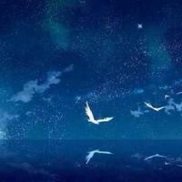 满目星辰的文艺范昵称 仙气文艺的网名(精选92个)