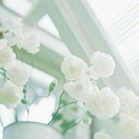 清新可爱有仙女气息的网名昵称(精选89个)