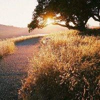 八个字简短的个性签名(精选68个)