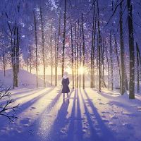 关于“光”的浪漫温柔文案(精选54句)