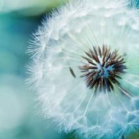 森系小清新网名两个字(精选105个)