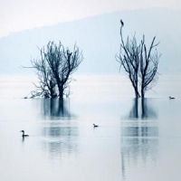 富有诗意的古风网名集(精选113个)