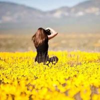 带姑娘二字的网名大全(精选63个)