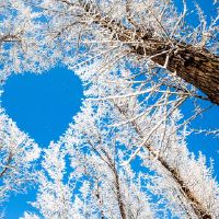 好听吸引人的qq网名大全(精选87个)