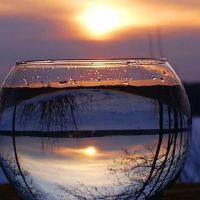 特别受到关注的网名 非常经典的字昵称(精选84个)