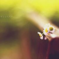 可爱的中英文混合网名 中英混搭个性网名(精选48个)