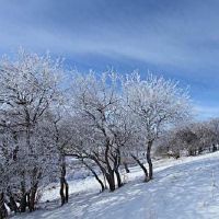 关于冬天的网名大全(精选85个)