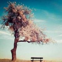 好听的网名好听的网名 唯美有意境网名(精选134个)