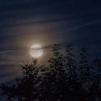 好听仙气的月亮昵称 关于月亮的心动网名(精选49个)