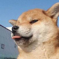 越看越有意思的搞怪网名(精选75个)