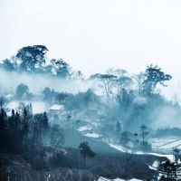 好听的四个字古风名字(精选42个)