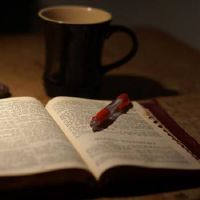 2022最新小清新的文艺网名(精选66个)