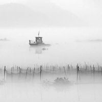 5个字古风诗意唯美名字 唯美古风网名(精选74个)