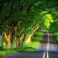 优美有意境的风景网名大全(精选100个)