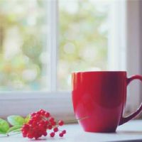 无关爱情的生活文案短句(精选98句)