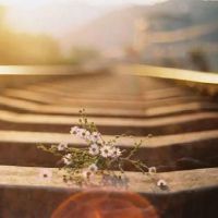 感叹虚度光阴的句子