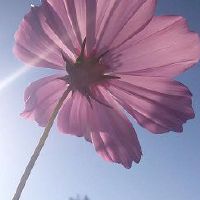 看起来有学问有素养的网名(精选90个)