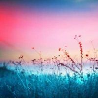 女生小清新英文网名大全(精选92个)