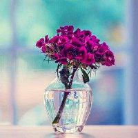 唯美的六字网名大全(精选48个)