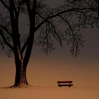 适合男孩的伤感心碎的网名(精选106个)