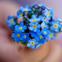 吾家有女初长成适合发朋友圈的句子