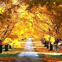 为抗击疫情的工作人员加油的句子