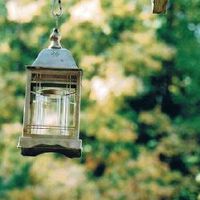 适合疫情期间发的朋友圈(疫情当下如何发朋友圈)