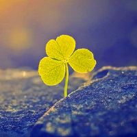 被封了呆在家里怎么发朋友圈(疫情隔离的心情说说)