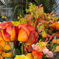 疫情让朋友保护好自己的句子(疫情保护好自己的文案)