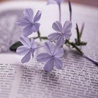 一场疫情一场感悟说说 被隔离的日子感悟句子