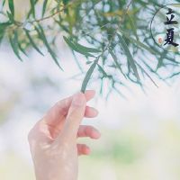 关于立夏的优美短句