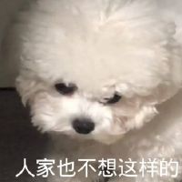 能笑死人的搞笑短句子，句句幽默雷人