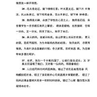 优美句子大全短句