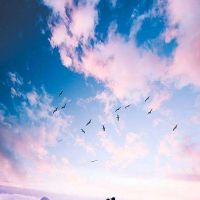 致自己的人生感悟,致自己的人生感悟句子,句句经典!