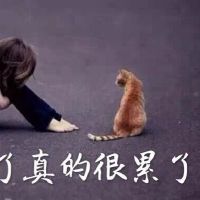 一个人心痛心碎心酸的伤感句子！