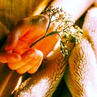 思念一个人适合发朋友圈的话