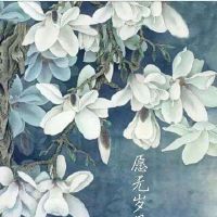 古风表白文案简短